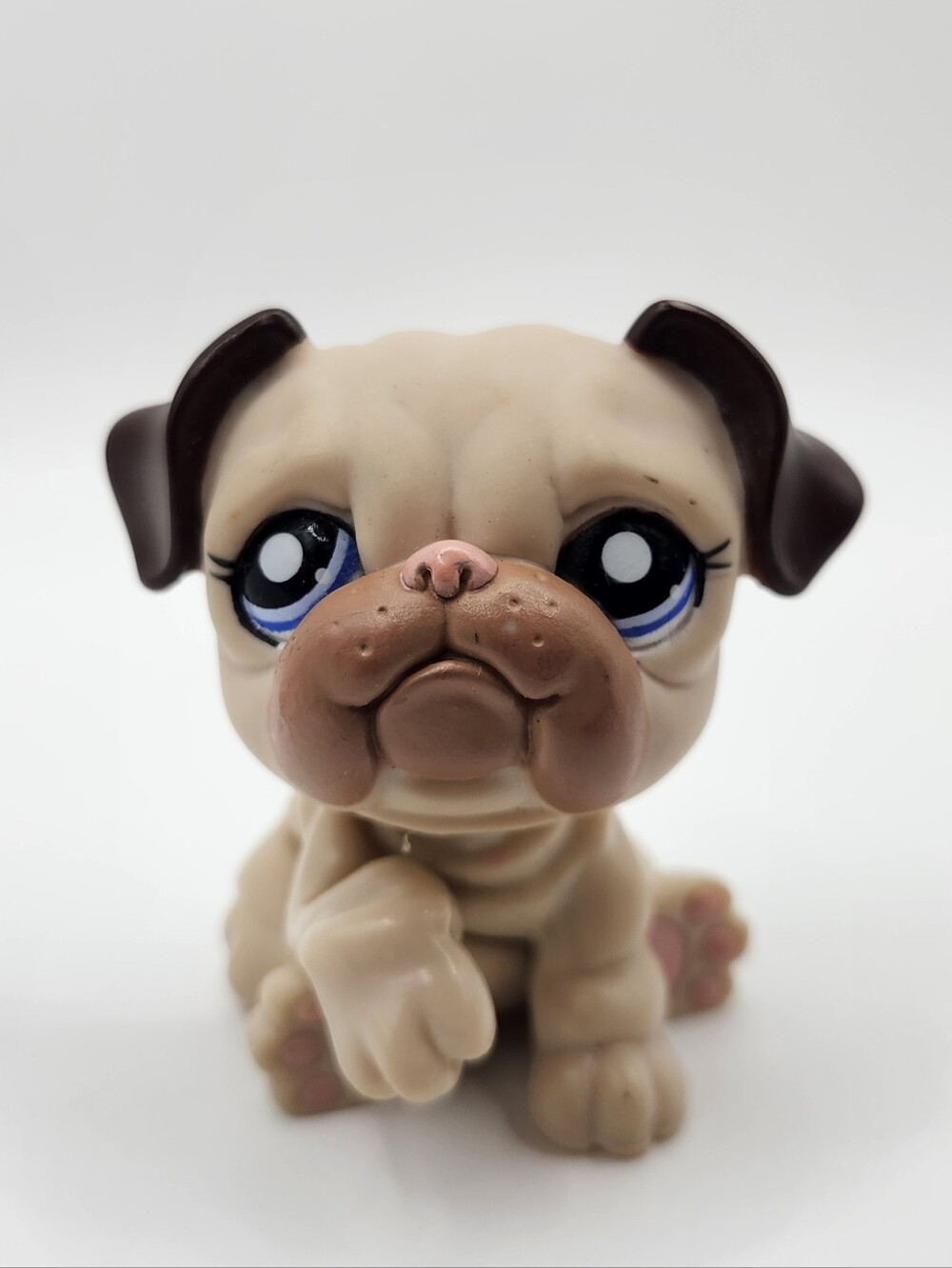 Littlest Pet Shop #1765 English Bulldog Dog Beige Brown Blue Dot Eyes LPS Hasbro